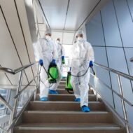 شركة رش مبيدات بالرياض